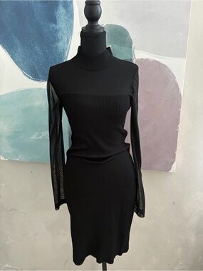 Crave Fame Black Ribbed Mock-Neck Dress with Sheer Long Sleeves